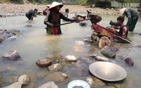 Ở một dòng sông ở Quảng Nam, dân lội mò mẫm đãi cát, tìm được vàng cám, bỏ vô chén sứ mang về nhà