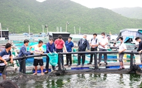 Đưa Việt Nam trở thành quốc gia có nghề cá phát triển bền vững, hiện đại vào năm 2050