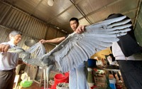 Từ loạt bài điều tra của Báo NTNN/Dân Việt: "Cây gậy vàng" bảo vệ chim hoang dã ở Việt Nam