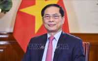 Việt Nam - Anh thúc đẩy hợp tác phát triển kinh tế bền vững