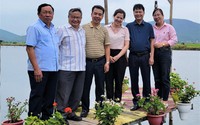 Phó Chủ tịch T.Ư Hội Nông dân Việt Nam Đinh Khắc Đính tham quan mô hình du lịch cộng đồng ở Hải Dương