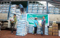 Gần 250 tấn phân hữu cơ vi sinh được Trung tâm khuyến nông Thái Nguyên hỗ trợ các HTX trồng chè