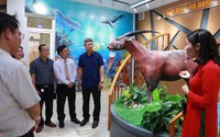 Quảng Nam đưa vào hoạt động bảo tàng đa dạng sinh học cấp tỉnh đầu tiên của cả nước