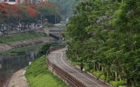 Hình ảnh thảm cỏ xanh mướt, hút mắt trên con đường chỉ dành riêng cho người đi bộ, xe đạp ở Hà Nội