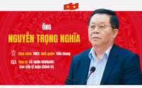 Tân Ủy viên Bộ Chính trị, Thượng tướng Nguyễn Trọng Nghĩa, Trưởng Ban Tuyên giáo Trung ương