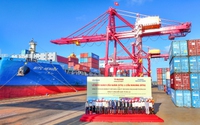Cảng Chu Lai đưa vào vận hành hệ thống cẩu chuyên dụng 