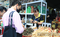 Tái hiện không gian trồng sâm Ngọc Linh tại Lễ hội sâm TP.HCM