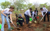 TP.HCM trồng mới 3.000 cây xanh trong ngày Tết trồng cây 