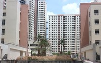 Lãng phí lớn từ số lượng khủng căn hộ tái định cư bỏ hoang tại TP.HCM, Hà Nội