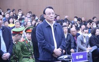 Chủ tịch Tập đoàn Tân Hoàng Minh Đỗ Anh Dũng kháng cáo