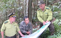 Kiểm lâm Sơn La không ngừng nỗ lực, kiên trì bảo vệ và phát triển rừng
