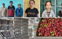 Phá đường dây mua bán trái phép vật liệu nổ từ Tây Nguyên về Thanh Hoá