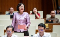 Thống đốc Nguyễn Thị Hồng "trần tình" gì khi gói ưu đãi vay lãi suất 2% chỉ giải ngân được 3%?