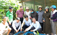 Hội Nông dân tỉnh Lào Cai tọa đàm về các kỹ thuật nuôi sâu canxi, trùn quế tại huyện Bảo Thắng