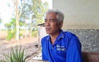 Cà Mau: Nhiều nông dân lo bị thương lái “quỵt” tiền mua lúa 