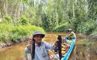 Dùng thứ này bắt cá lóc đồng to bự trong khu rừng tràm U Minh ở Cà Mau, đốt rơm nướng dậy mùi thơm