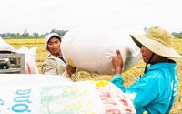 2 doanh nghiệp Việt Nam trúng thầu 90.000 tấn gạo với giá thấp "không tưởng", Chủ tịch HĐQT Lộc Trời nói gì?