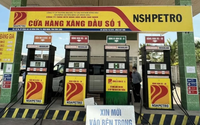NSH Petro: Thao túng cổ phiếu, con của chủ tịch bị phạt tiền tỷ 