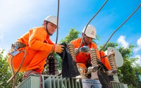 EVNCPC đồng loạt ra quân hỗ trợ hoàn thành dự án đường dây 500kV mạch 3 Quảng Trạch - Phố Nối