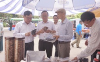 Hội Nông dân quận Thanh Khê, Đà Nẵng kết nối cung cầu, phát triển sản phẩm OCOP qua phiên chợ nông sản