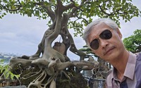 Gã đầu bạc: Đại gia sở hữu vườn cây cảnh giá hàng triệu USD