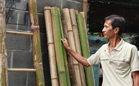 Biến cây tầm vông cong thành thẳng, một nông dân Khánh Hòa hái ra tiền