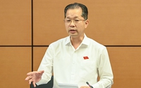 Bí thư Thành ủy Đà Nẵng: Chấp nhận rủi ro để thành lập khu thương mại tự do
