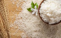 "Mục sở thị" loại gạo đắt nhất thế giới khoảng 2,5 triệu đồng/kg có gì ngon?