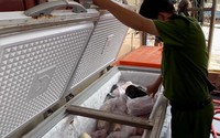 Phát hiện kho thực phẩm đông lạnh chứa 2,4 tấn đùi gà, chân gà, cánh gà không rõ nguồn gốc