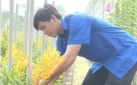 Chỉ với 2.500m2 đất, anh thanh niên Bình Phước trồng loài lan, cứ cắt cành bán thu trăm triệu