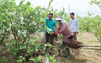 Nông dân Nghệ An phấn đấu sản xuất 90.000 tấn phân bón hữu cơ vi sinh