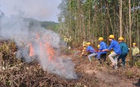 Tỉnh Quảng Nam cần được hỗ trợ gần 25 tỷ đồng để phòng chống chữa cháy rừng