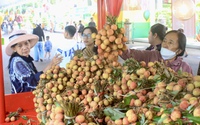 Thỏa sức thưởng thức trái cây đặc sản giá hấp dẫn tại Lễ hội Trái cây Nam bộ lớn nhất TP.HCM