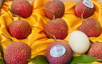 Một phiên chợ đang diễn ra tại khu đô thị Ecopark, bán thứ quả đặc sản chỉ có ở Hưng Yên, giá 220.000 đồng/kg