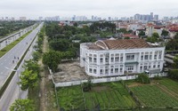 Chợ bỏ hoang ở Hà Nội: Ngôi chợ nằm giữa cánh đồng hoa "phủ bụi" suốt gần 7 năm 