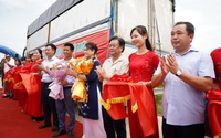 Một huyện của tỉnh Hải Dương, tổ chức ngày hội cho cây lúa, con rươi, Bộ trưởng Bộ NNPTNT đến tận nơi xem