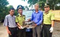 Bắt được một con rùa hộp trán vàng rất đẹp, người dân Thừa Thiên Huế viết đơn nộp ngay cho kiểm lâm 