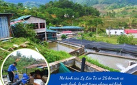 Ở vùng núi của Lào Cai có một chàng trai vượt qua nỗi sợ để nuôi cá quý tộc, bán 50 tấn, thu 8,5 tỷ