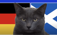 Mèo tiên tri Cass dự đoán kết quả Đức vs Scotland (2h00 ngày 15/6): Ra ngõ gặp khó!