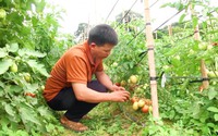 Lan tỏa phong trào nông dân thi đua sản xuất, kinh doanh giỏi trong đồng bào dân tộc thiểu số huyện Mai Châu
