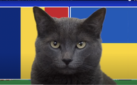 Mèo tiên tri Cass dự đoán kết quả Romania vs Ukraine