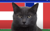 Mèo tiên tri Cass dự đoán kết quả Áo vs Pháp