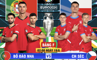 Xem trực tiếp Bồ Đào Nha vs Czech trên kênh nào?