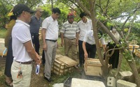 TP.Hải Phòng: Hội Nông dân phường Bàng La ra mắt Tổ hội nông dân nghề nghiệp nuôi ong