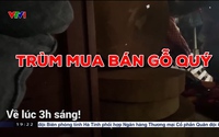 Loạt bài "Đường đi của gỗ lậu qua xe chuyển phát nhanh" của báo NTNN/Dân Việt xuất hiện trong phóng sự VTV 