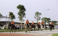 Vingroup ra mắt học viện cưỡi ngựa và phố đi bộ trên đảo Vũ Yên