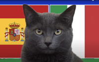 Mèo tiên tri Cass dự đoán kết quả Tây Ban Nha vs Italia