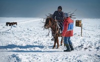 Kỳ lạ tuyết rơi mùa Hè tại Mông Cổ