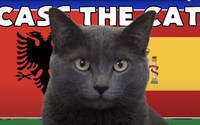 Mèo tiên tri Cass dự đoán kết quả Albania vs Tây Ban Nha