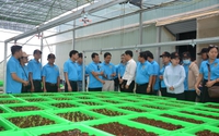 Lao động nông thôn TP.HCM được đào tạo nghề về nông nghiệp công nghệ cao